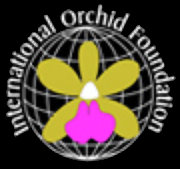 Orchids.org