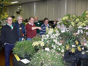Orchid Display