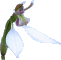 Eriochilus cucullatus