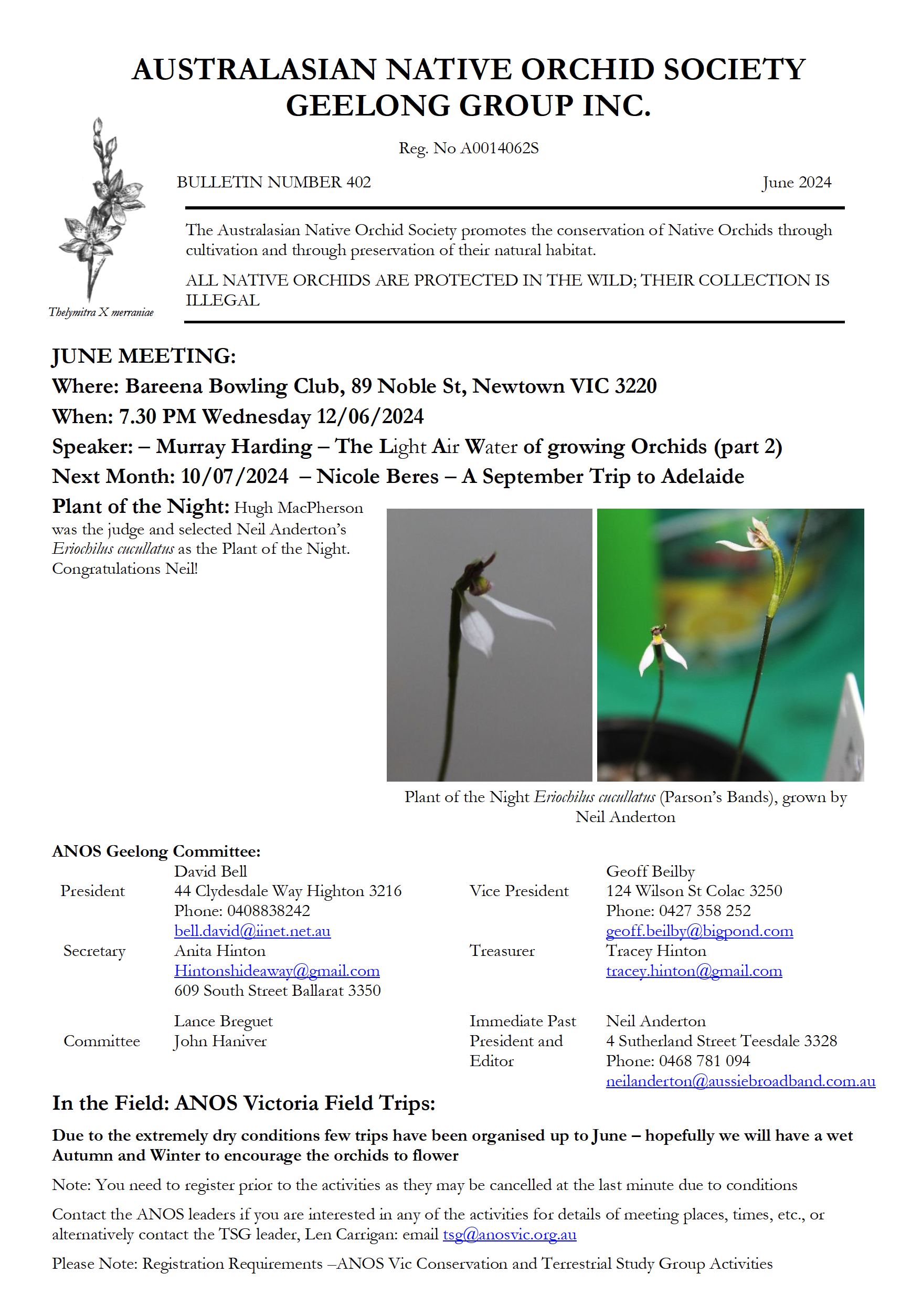 Sample Bulletin